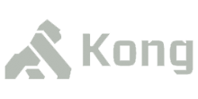 Kong logo